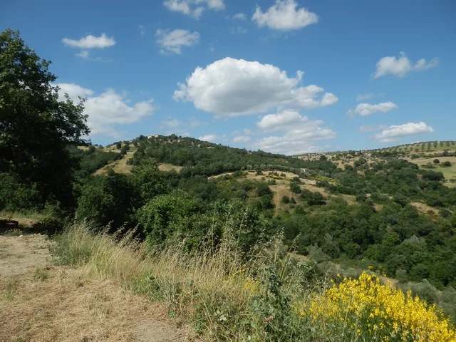 Dettaglio ambientale